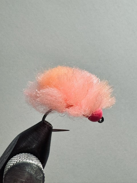 Steelhead egg fly barbless jig pattern for Rogue River trout and steelhead